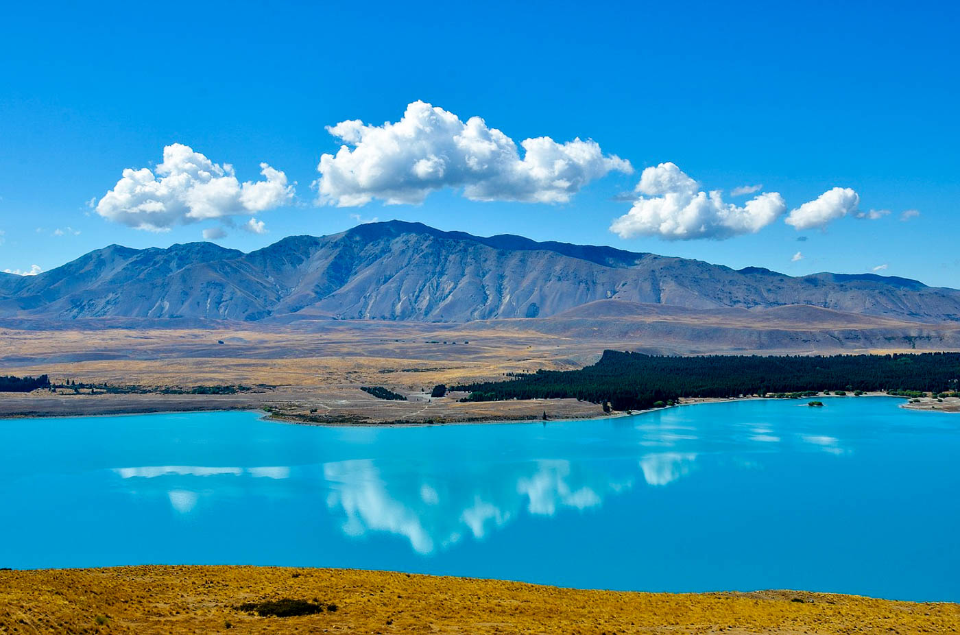 素有纽西兰最美湖泊的普卡基湖,不但有著超梦幻的淡蓝色湖水,加上后方